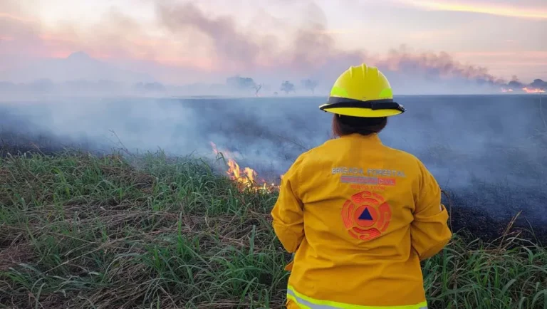 Registran 272 incendios en Nuevo León; predominan en baldíos