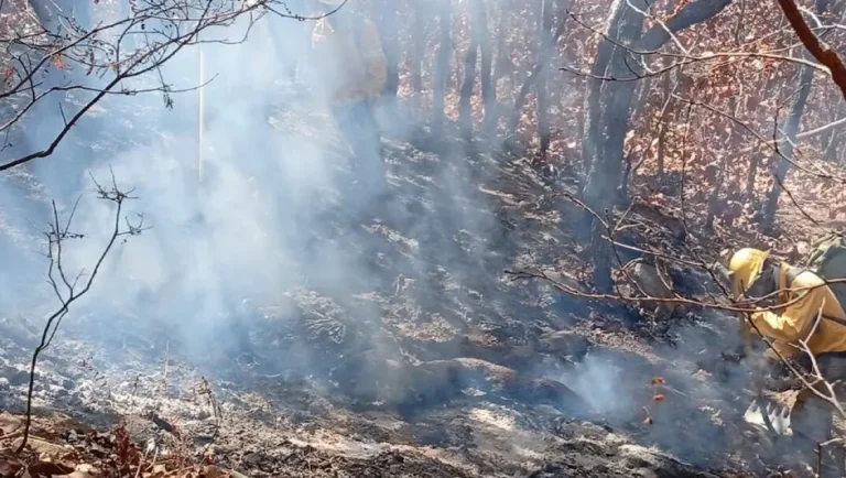 Conafor prevé más de 7 mil incendios en México