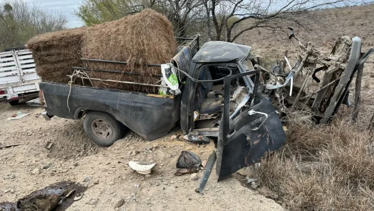 Mina terrestre explota en Doctor Coss; un campesino resulta herido