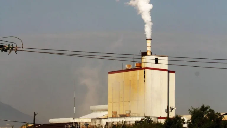 Se disparan 171% los delitos ambientales en Nuevo León durante 2026