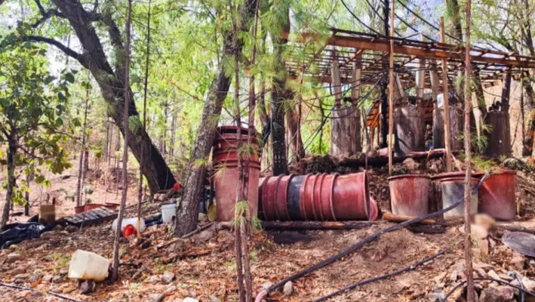 Maru Campos anuncia creación de unidad especializada por caso de agentes de EU en Chihuahua