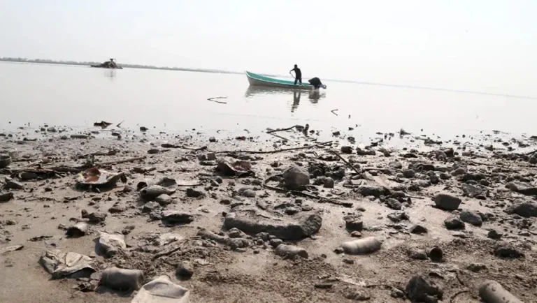 Alertan crisis ambiental en el sur de Tamaulipas por desaparición de humedales