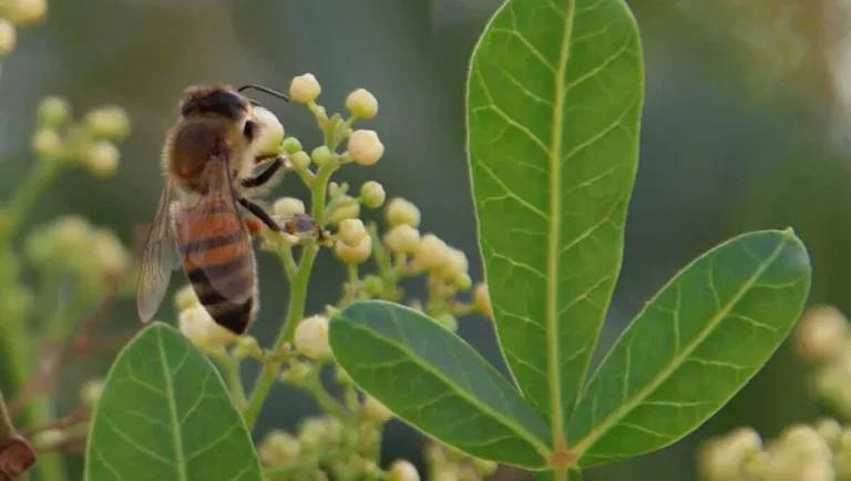 Empresarios mexicanos evalúan riesgos climáticos y su impacto en los negocios