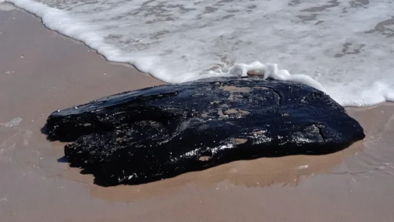 Refuerzan supervisión tras detectar otra mancha de hidrocarburo en Playa Bagdad
