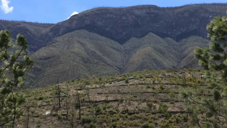 Profepa investiga daño ambiental en zona serrana de Santiago