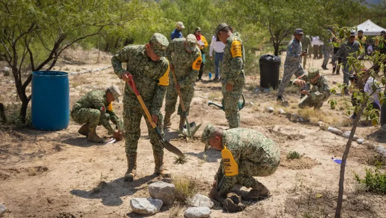 Nuevo León enfrenta déficit de 21% en áreas verdes; reforestación no llega a zonas de mayor calor