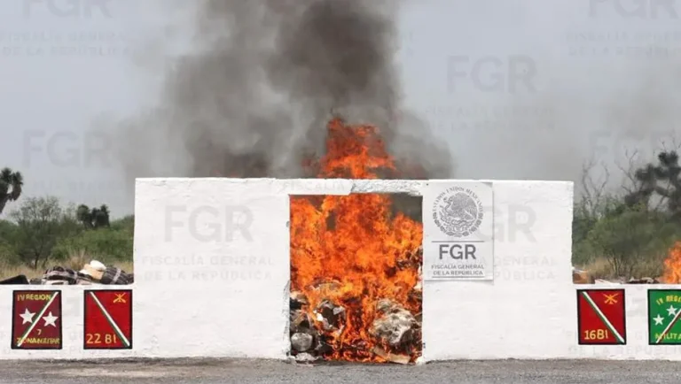 Destruyen más de tres toneladas de droga asegurada en cinco estados del noreste