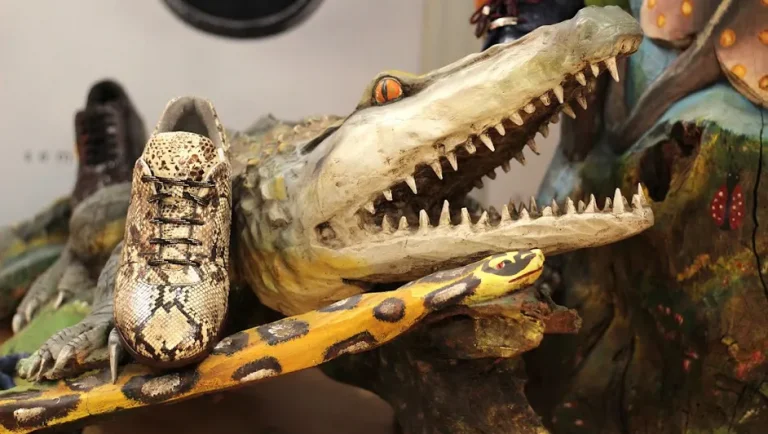 De Tamaulipas a León: la ruta clandestina de la piel de cocodrilo