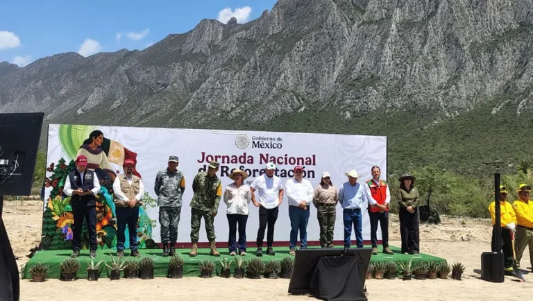 Arranca reforestación de La Huasteca con 2 mil 500 árboles
