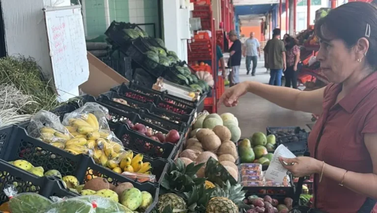 Productos de la canasta básica registran alzas en Monterrey