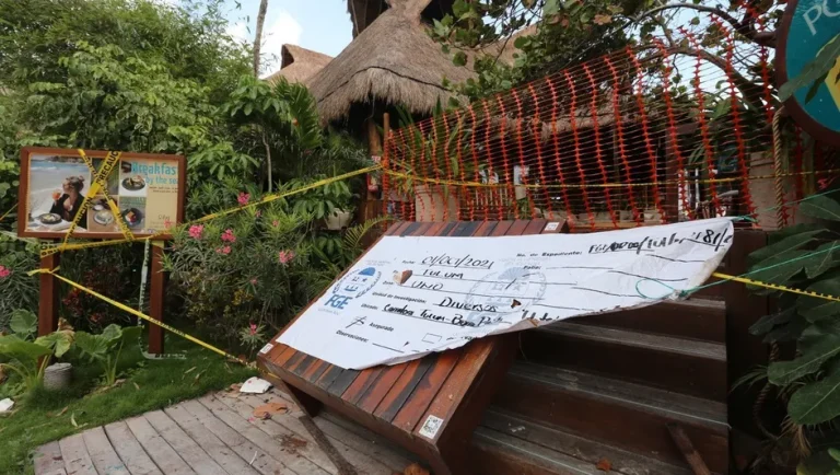 CJNG y Cártel de Sinaloa diversifican lavado de dinero en 16 sectores económicos
