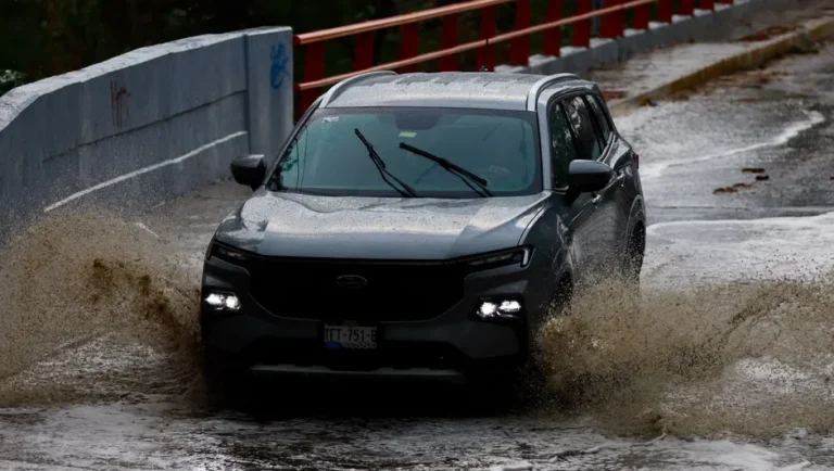 Tormenta eléctrica deja autos varados, árboles caídos y cortocircuitos en Zona Metropolitana de Mty