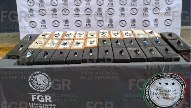 Detienen a mujer con casi 40 kilos de cocaína en Nuevo León