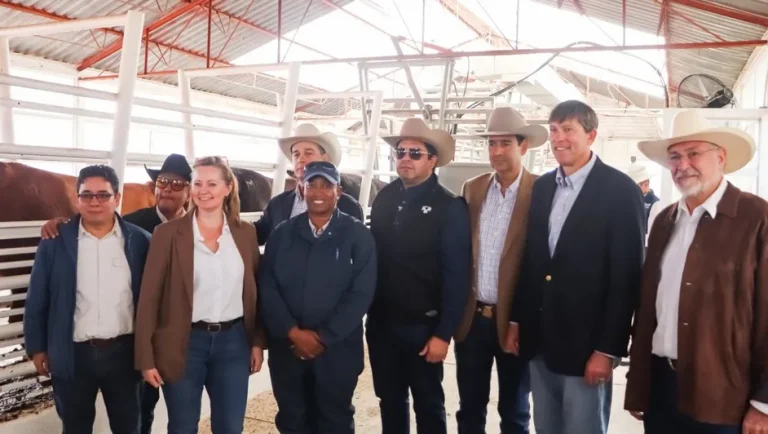 Reanudan exportación de ganado a Estados Unidos desde Puerto Palomas, Chihuahua