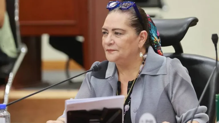 INE suspende contrataciones y revisará nombramientos de Guadalupe Taddei